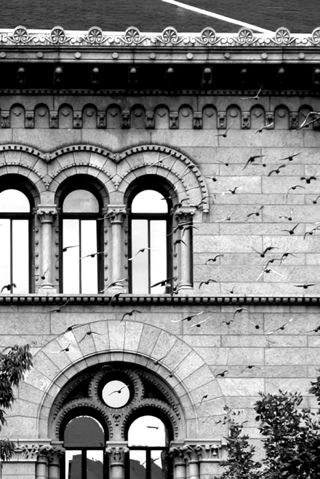 Struck_Newberry Library
