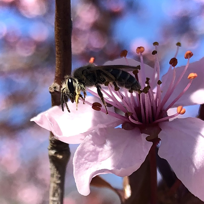 Tipsy, photo by Julianna Struck 